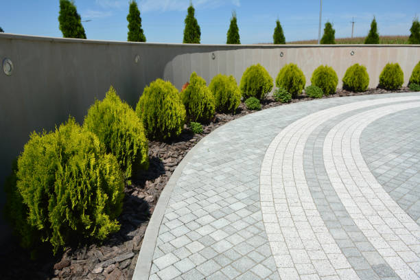 Best Decorative Driveway Pavers  in Aransas Pass, TX